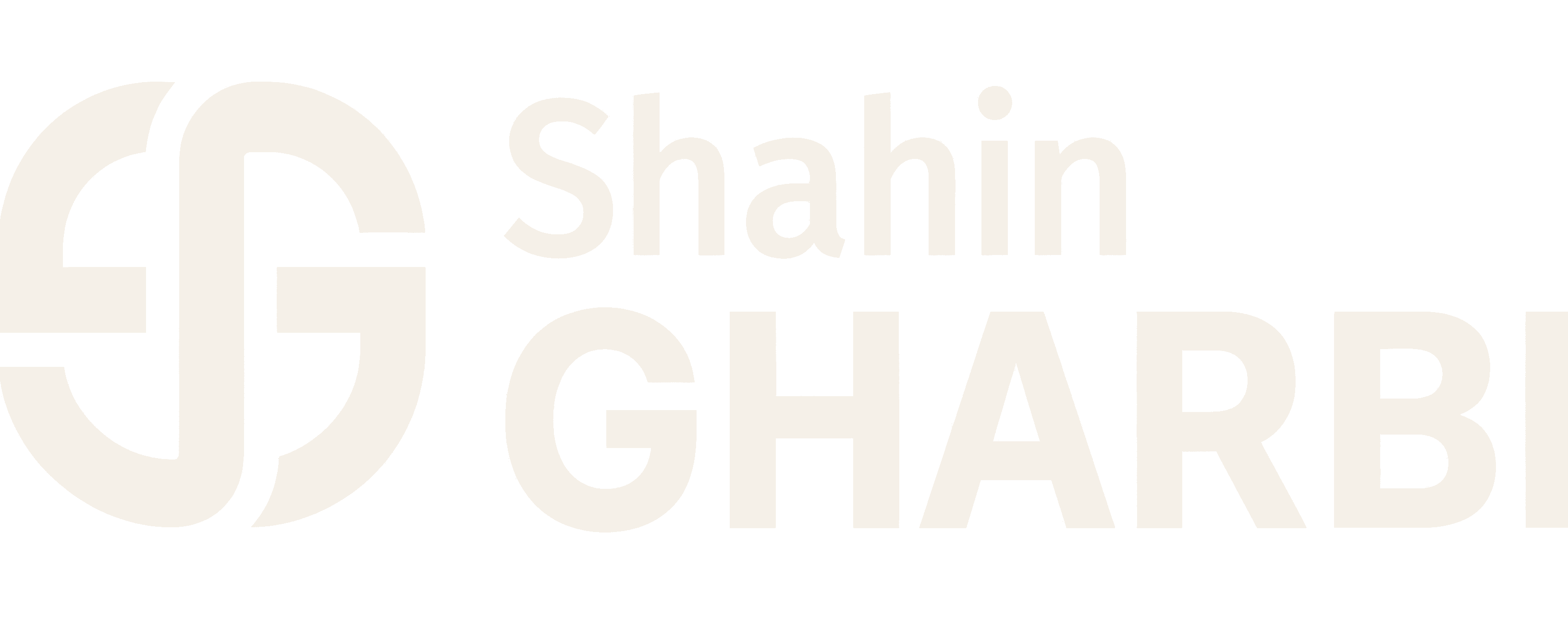 Shahin Gharbi — Consultant SEO Freelance